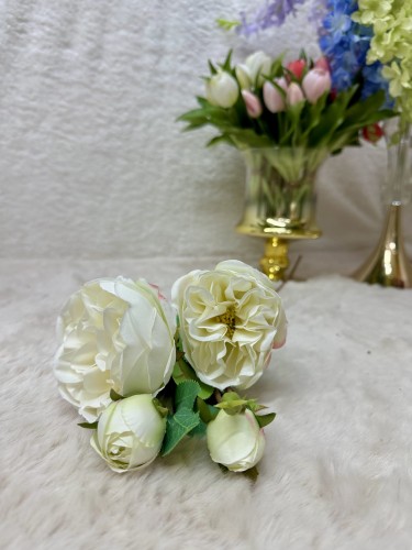 IMG_7650.jpeg
