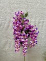 IMG_7689.jpeg