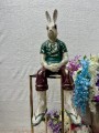 IMG_7911.jpeg