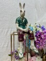 IMG_7910.jpeg