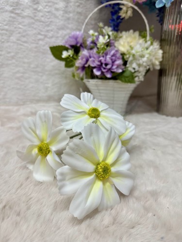 IMG_7988.jpeg