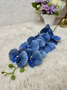 Storczyk niebieski 90 