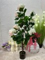 IMG_8294.jpeg