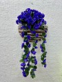 IMG_8310.jpeg