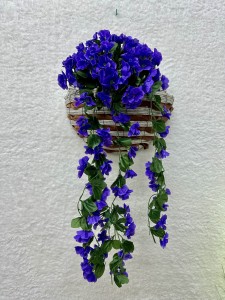 Surfinia ciemny fiolet 80