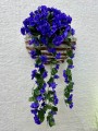 IMG_8311.jpeg