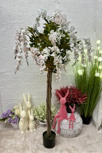 Drzewo wisteria biała 140