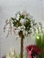 IMG_8298.jpeg
