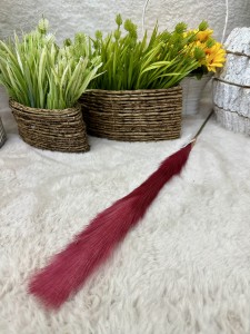 Pampas bordowy 80 