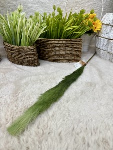 Pampas zielony 80 