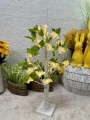 IMG_8511.jpeg