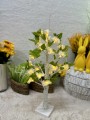 IMG_8509.jpeg
