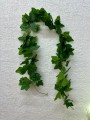 IMG_8624.jpeg