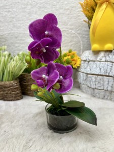 Storczyk silikonowy fioletowy 35 