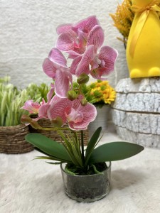 Storczyk silikonowy różowy 35