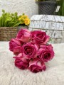 IMG_8728.jpeg