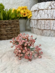 Gipsówka różowa 22