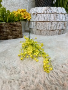 Gipsówka  żółta 65