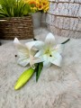 IMG_8849.jpeg