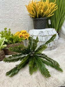 Gałązka zielona  cykas 48