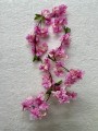IMG_8989.jpeg
