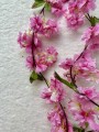 IMG_8990.jpeg