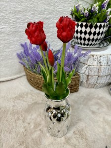 Bukiet tulipanów papuzich czerwonych 40  