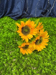 Bukiet słoneczników 50