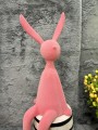 IMG_9583.jpeg