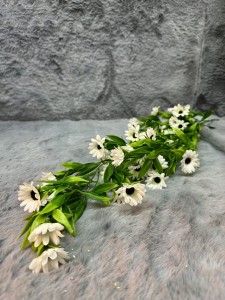 Zwis rumianku białego 75 