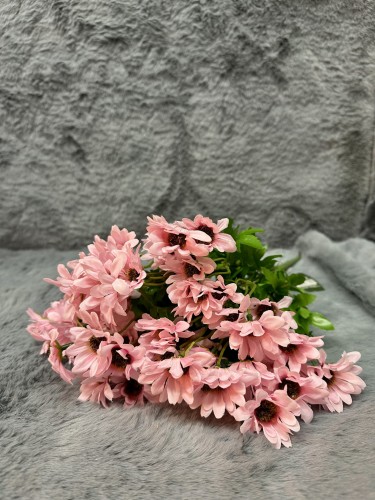 IMG_9663.jpeg
