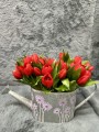 IMG_9665.jpeg