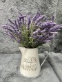 IMG_9680.jpeg