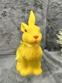 IMG_9719.jpeg
