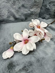 Magnolia pudrowy róż 89 