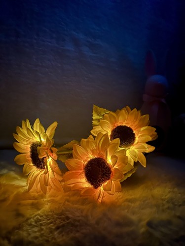 IMG_9899.jpeg