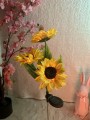 IMG_9901.jpeg