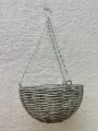 IMG_9906.jpeg