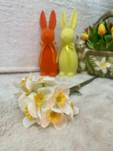 Żonkil biało-pomarańczowy 40  