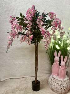 Drzewo wisteria biało-różowa 140