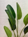 IMG_9992.jpeg
