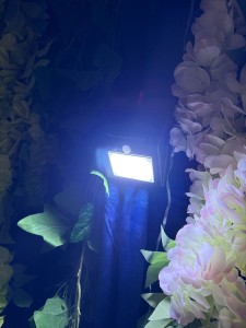 Solar czujnik  ruchu 12