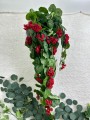 IMG_0332.jpeg
