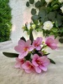 IMG_0621.jpeg