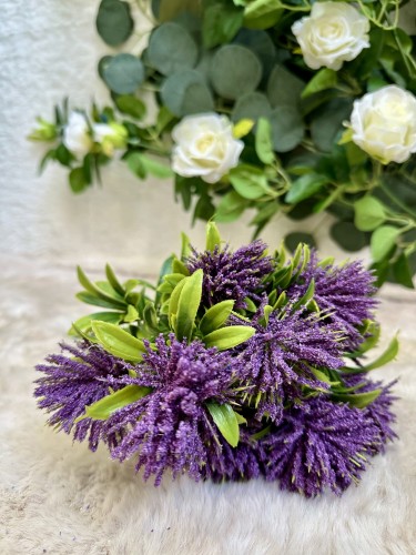 IMG_0652.jpeg