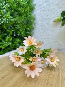 Bukiet stokrotka brzoskwiniowa 35