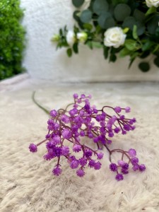 Gipsówka fioletowa  60