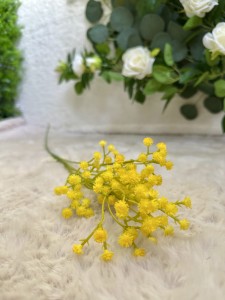 Gipsówka żółta  60