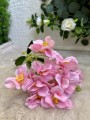 IMG_0748.jpeg