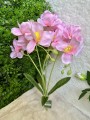 IMG_0747.jpeg